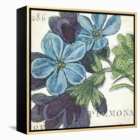 Blue Floral-Hugo Wild-Framed Stretched Canvas