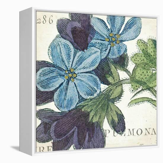 Blue Floral-Hugo Wild-Framed Stretched Canvas