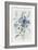 Blue Florals I-Asia Jensen-Framed Premium Giclee Print
