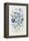 Blue Florals II-Asia Jensen-Framed Stretched Canvas