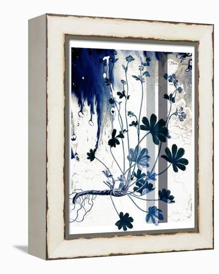 Blue Flower 02-Flora Danica-Framed Stretched Canvas