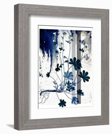 Blue Flower 02-Flora Danica-Framed Premium Giclee Print