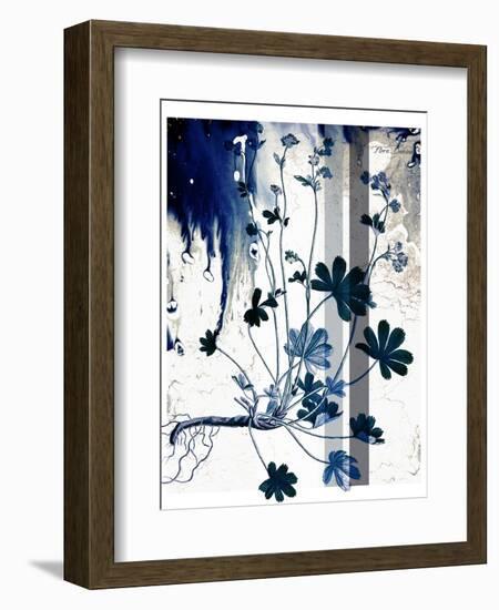 Blue Flower 02-Flora Danica-Framed Premium Giclee Print