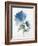 Blue Flower Garden III-Asia Jensen-Framed Art Print