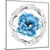 Blue Flower I-Elizabeth Medley-Mounted Photographic Print