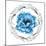 Blue Flower I-Elizabeth Medley-Mounted Photographic Print