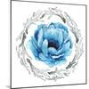 Blue Flower II-Elizabeth Medley-Mounted Photographic Print