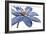 Blue Flower on White 2-Tom Quartermaine-Framed Giclee Print