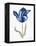 Blue Flower Stem I-Stellar Design Studio-Framed Stretched Canvas