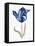Blue Flower Stem I-Stellar Design Studio-Framed Stretched Canvas
