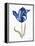 Blue Flower Stem I-Stellar Design Studio-Framed Stretched Canvas