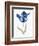 Blue Flower Stem I-Stellar Design Studio-Framed Art Print