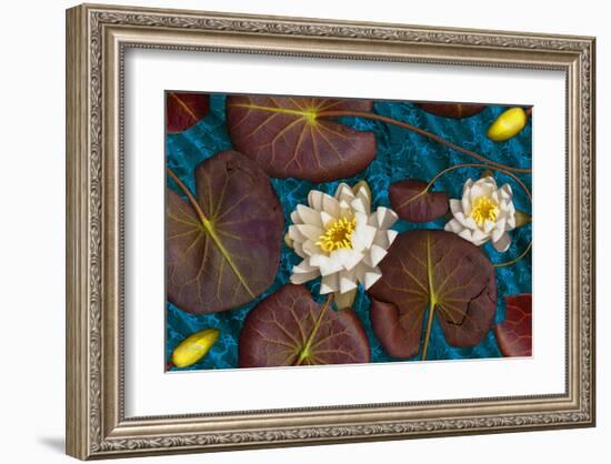 Blue flower white water-null-Framed Art Print