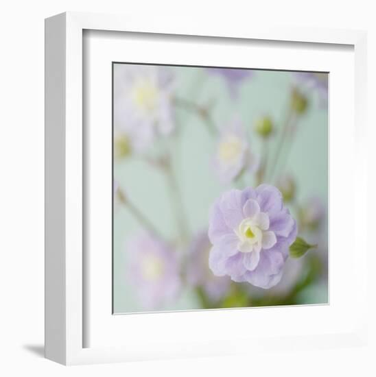 Blue Flower-Judy Stalus-Framed Art Print