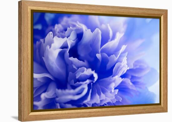 Blue Flower-PhotoINC-Framed Premier Image Canvas