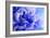 Blue Flower-PhotoINC-Framed Photographic Print