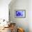 Blue Flower-PhotoINC-Framed Photographic Print displayed on a wall