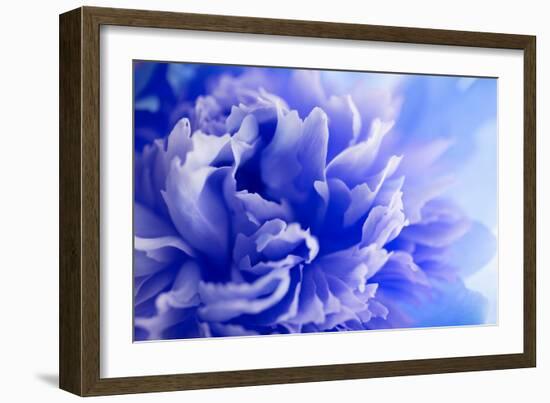 Blue Flower-PhotoINC-Framed Photographic Print