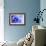 Blue Flower-PhotoINC-Framed Photographic Print displayed on a wall