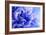 Blue Flower-PhotoINC-Framed Photographic Print