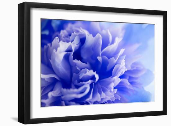 Blue Flower-PhotoINC-Framed Photographic Print