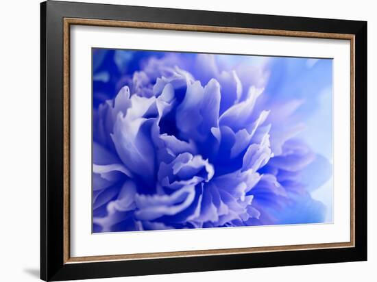 Blue Flower-PhotoINC-Framed Photographic Print