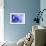 Blue Flower-PhotoINC-Framed Photographic Print displayed on a wall