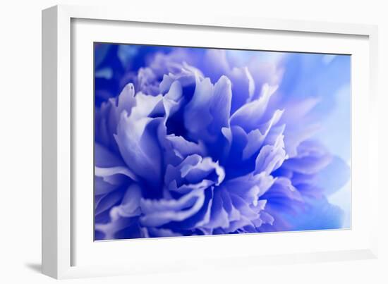 Blue Flower-PhotoINC-Framed Photographic Print