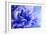 Blue Flower-PhotoINC-Framed Photographic Print