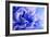 Blue Flower-PhotoINC-Framed Photographic Print