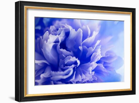 Blue Flower-PhotoINC-Framed Photographic Print