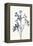 Blue Flowers 1-Yuyu Pont-Framed Stretched Canvas