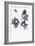 Blue Flowers 2-Yuyu Pont-Framed Art Print