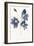 Blue Flowers 2-Yuyu Pont-Framed Premium Giclee Print