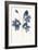 Blue Flowers 2-Yuyu Pont-Framed Premium Giclee Print