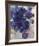 Blue Flowers-Lilia Orlova Holmes-Framed Giclee Print