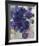 Blue Flowers-Lilia Orlova Holmes-Framed Giclee Print