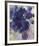 Blue Flowers-Lilia Orlova Holmes-Framed Giclee Print
