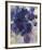 Blue Flowers-Lilia Orlova Holmes-Framed Giclee Print