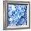 Blue Flowers-null-Framed Photographic Print