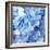 Blue Flowers-null-Framed Photographic Print