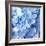 Blue Flowers-null-Framed Photographic Print