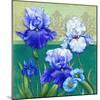 Blue Flowers-Maria Rytova-Mounted Giclee Print