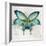 Blue Flutter I-Jacob Q-Framed Art Print