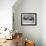 Blue-Footed Boobies in Skypointing Display, Galapagos Islands, Ecuador-Jim Zuckerman-Framed Photographic Print displayed on a wall