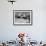 Blue-Footed Boobies in Skypointing Display, Galapagos Islands, Ecuador-Jim Zuckerman-Framed Photographic Print displayed on a wall