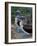 Blue-Footed Boobies of the Galapagos Islands, Ecuador-Stuart Westmoreland-Framed Photographic Print