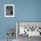 Blue-Footed Boobies of the Galapagos Islands, Ecuador-Stuart Westmoreland-Framed Photographic Print displayed on a wall