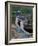 Blue-Footed Boobies of the Galapagos Islands, Ecuador-Stuart Westmoreland-Framed Photographic Print