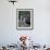 Blue-Footed Boobies of the Galapagos Islands, Ecuador-Stuart Westmoreland-Framed Photographic Print displayed on a wall